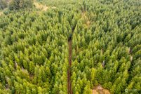 Undeveloped Land for sale in Lewis County, Washington