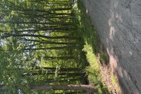 Undeveloped Land for sale in Pike County, Ohio