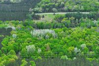 Land for sale in Newaygo County, Michigan
