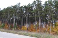Homesite for sale in Grand Traverse County, Michigan