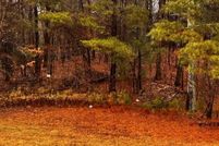 Land for sale in Gilmer County, Georgia