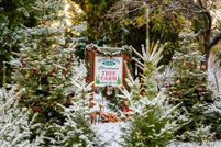 Farm and Ranch for sale in El Dorado County, California