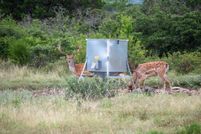 House for sale in Real County, Texas