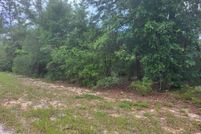 Land for sale in Jackson County, Florida