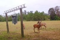 Land for sale in Madison County, Florida