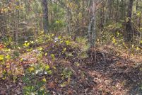 Land for sale in Walker County, Georgia