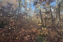 Land for sale in Lake County, Michigan