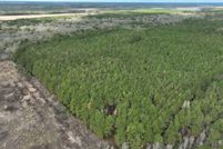 Land for sale in Evangeline Parish, Louisiana