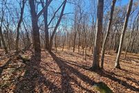 Land for sale in Grayson County, Virginia