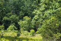 Land for sale in Izard County, Arkansas