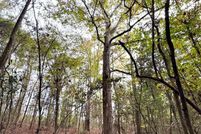 Land for sale in Pike County, Mississippi