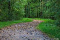 Farm and Ranch for sale in Madison County, Illinois