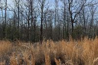 Land for sale in Faulkner County, Arkansas