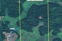 Timberland Property for sale in Morrison County, Minnesota