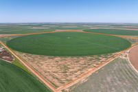 Land for sale in Castro County, Texas