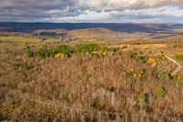 Timberland Property for sale in Albany County, New York