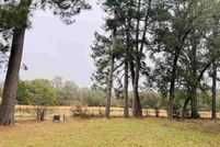 Land for sale in Titus County, Texas