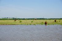 Land for sale in Milam County, Texas