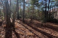 Land for sale in Ashe County, North Carolina