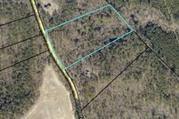 Land for sale in Wilkinson County, Georgia