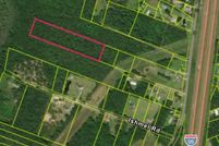 Land for sale in Hampton County, South Carolina