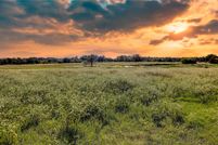 Undeveloped Land for sale in Freestone County, Texas