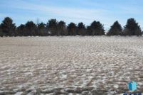 Timberland Property for sale in Pipestone County, Minnesota