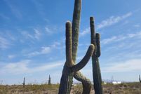 Land for sale in Maricopa County, Arizona