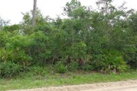 Land for sale in Volusia County, Florida