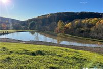 Land for sale in Allegany County, New York