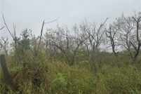 Land for sale in San Patricio County, Texas