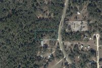 Land for sale in Dixie County, Florida