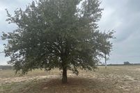 Land for sale in Atascosa County, Texas
