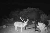 Farm and Ranch for sale in Edwards County, Texas