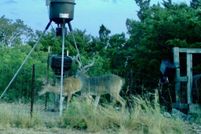 Lakefront Property for sale in Edwards County, Texas