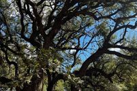 Land for sale in Real County, Texas