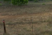 Land for sale in Atascosa County, Texas