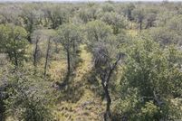 Land for sale in Atascosa County, Texas