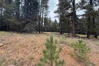 Land for sale in Colfax County, New Mexico