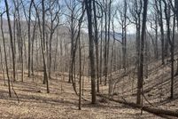 Land for sale in Pickens County, Georgia