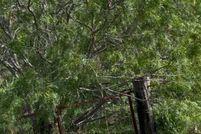 Land for sale in Guadalupe County, Texas