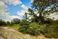 Undeveloped Land for sale in Lee County, Florida