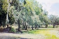 Land for sale in Marion County, Florida