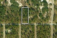Land for sale in Levy County, Florida