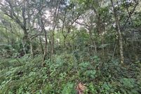 Land for sale in Hillsborough County, Florida