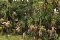 Land for sale in Charlotte County, Florida