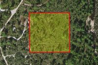 Land for sale in Osceola County, Florida