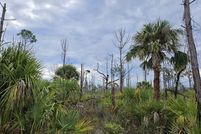 Land for sale in Charlotte County, Florida