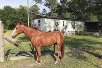 Land for sale in Polk County, Florida