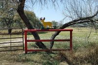 Land for sale in Atascosa County, Texas